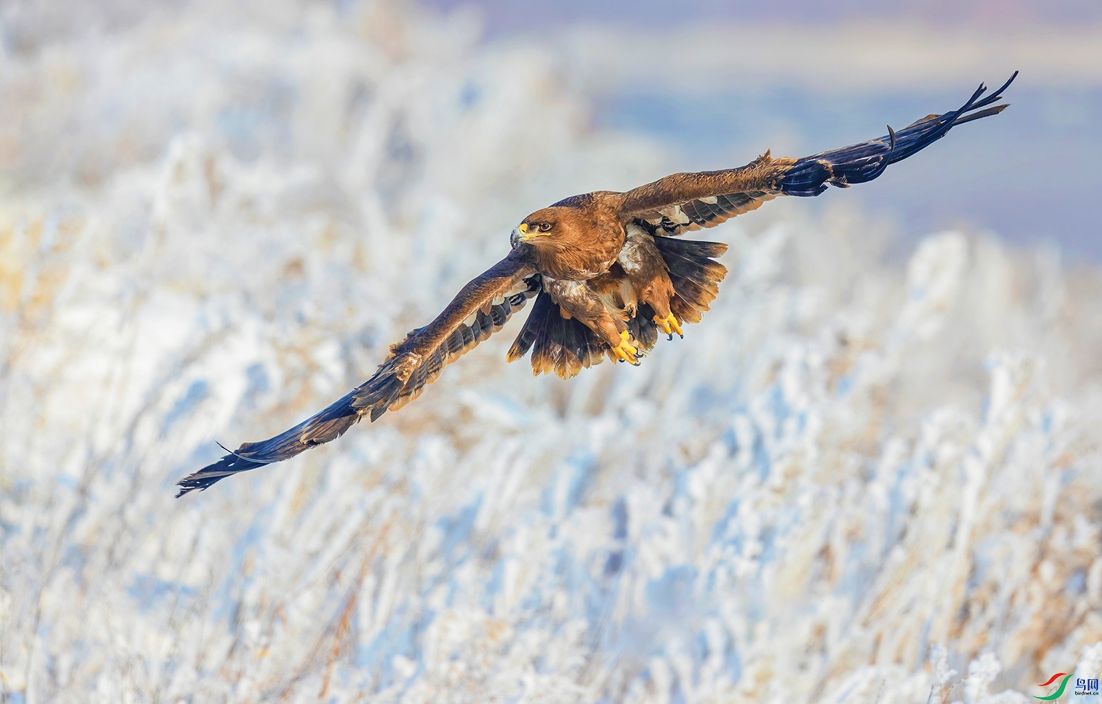 AC0I1255 ���� 2.jpg