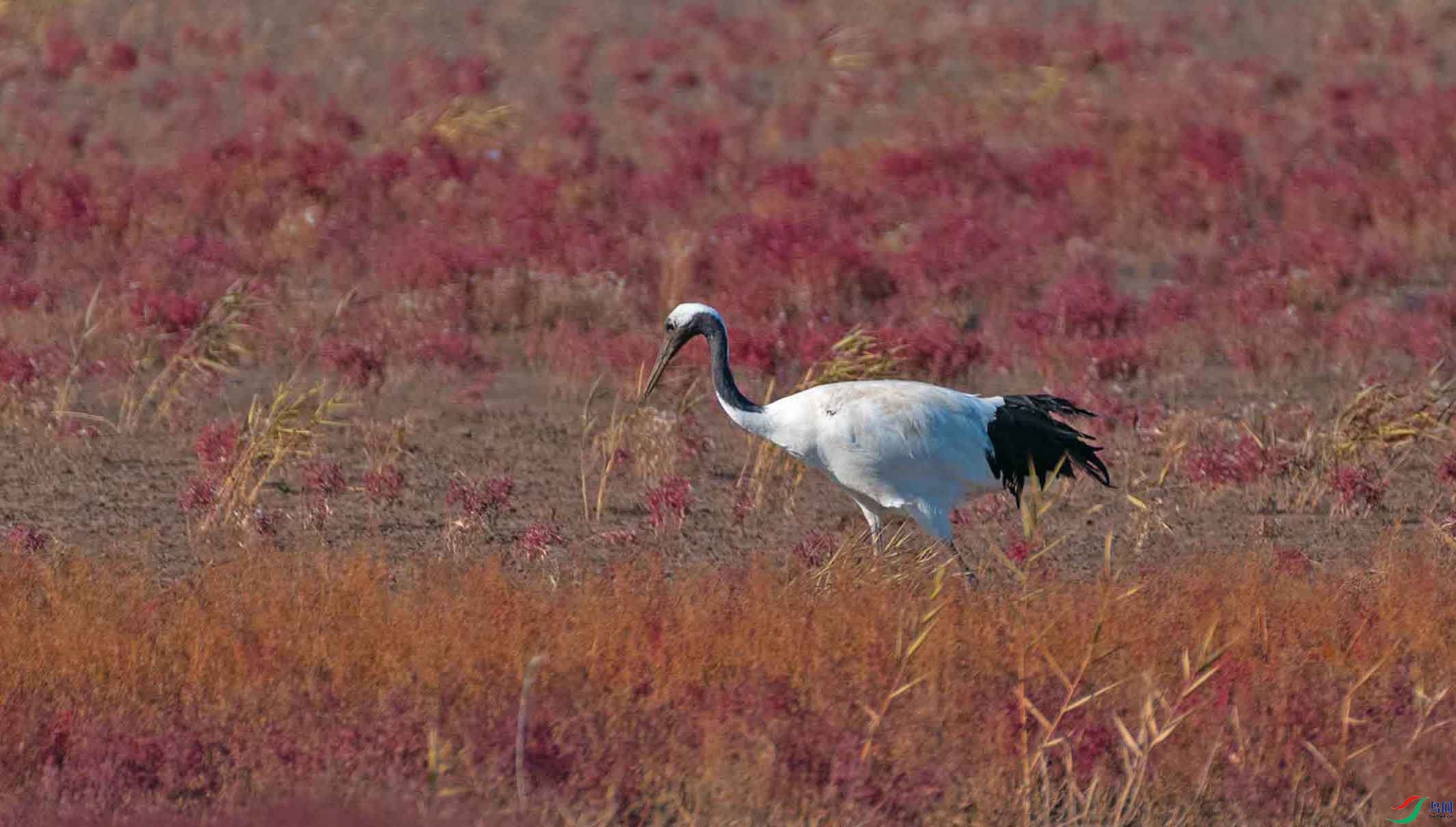 DSC_3162-3.jpg