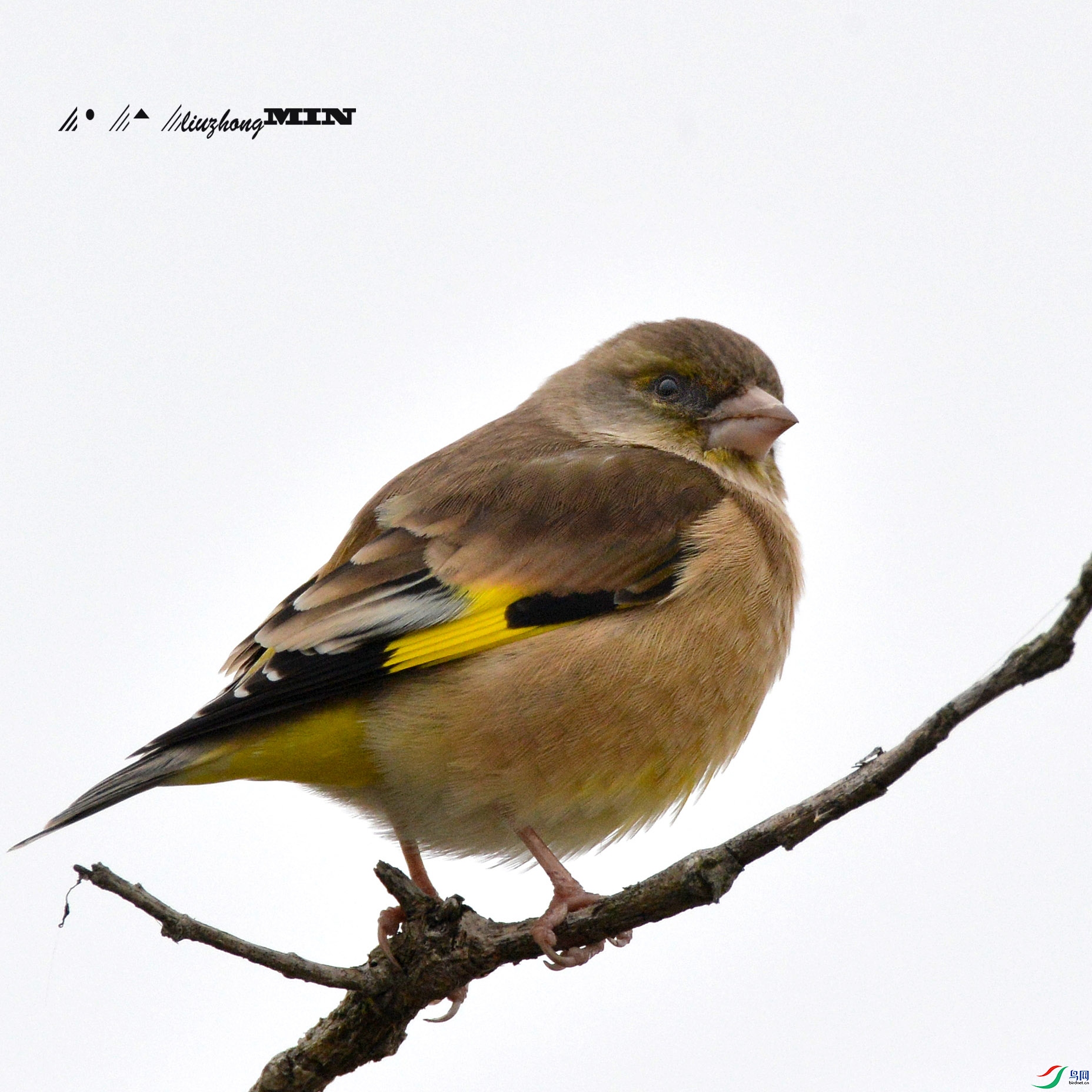 DSC_7753.jpg