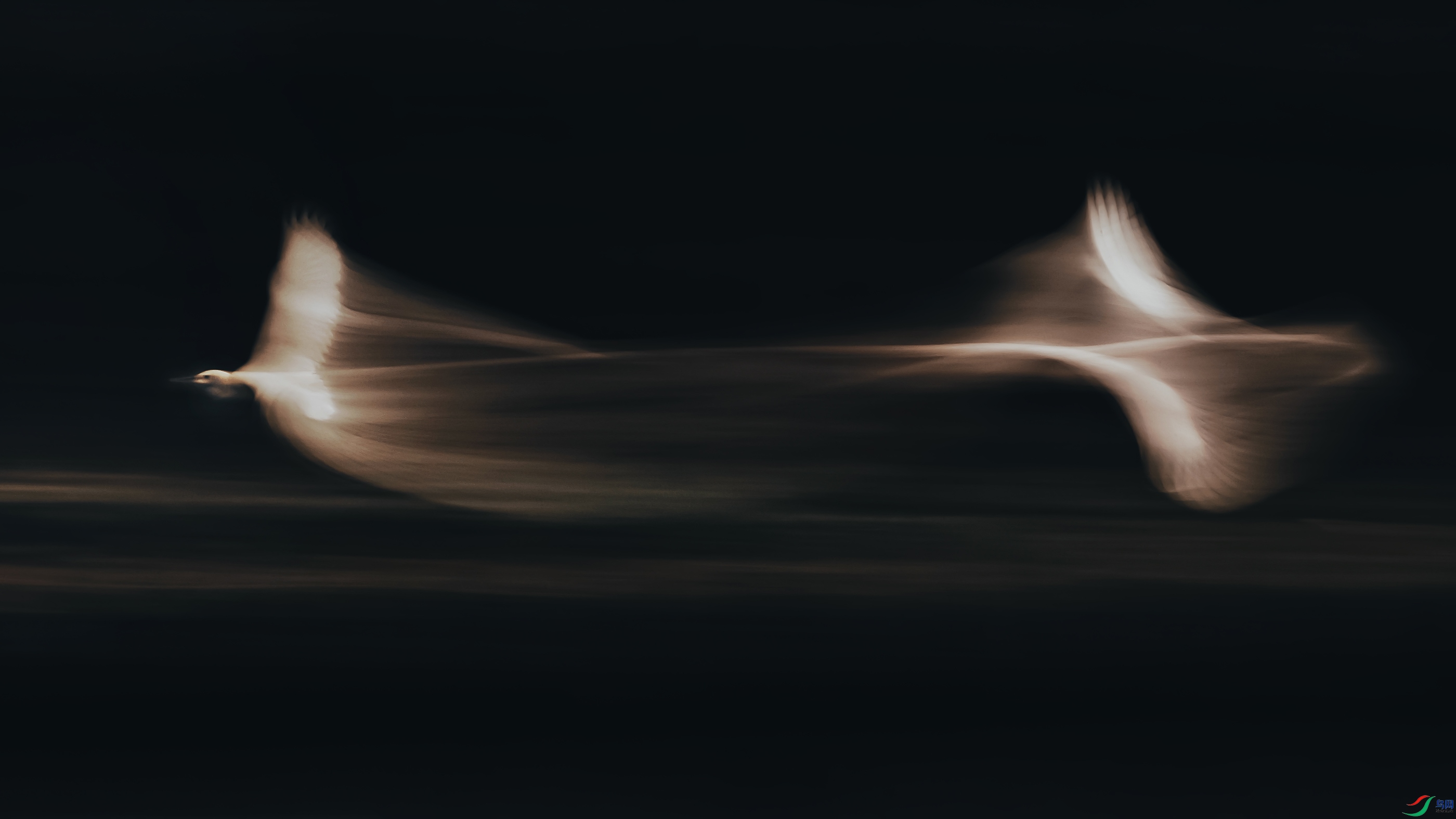 AK8I2087.jpg