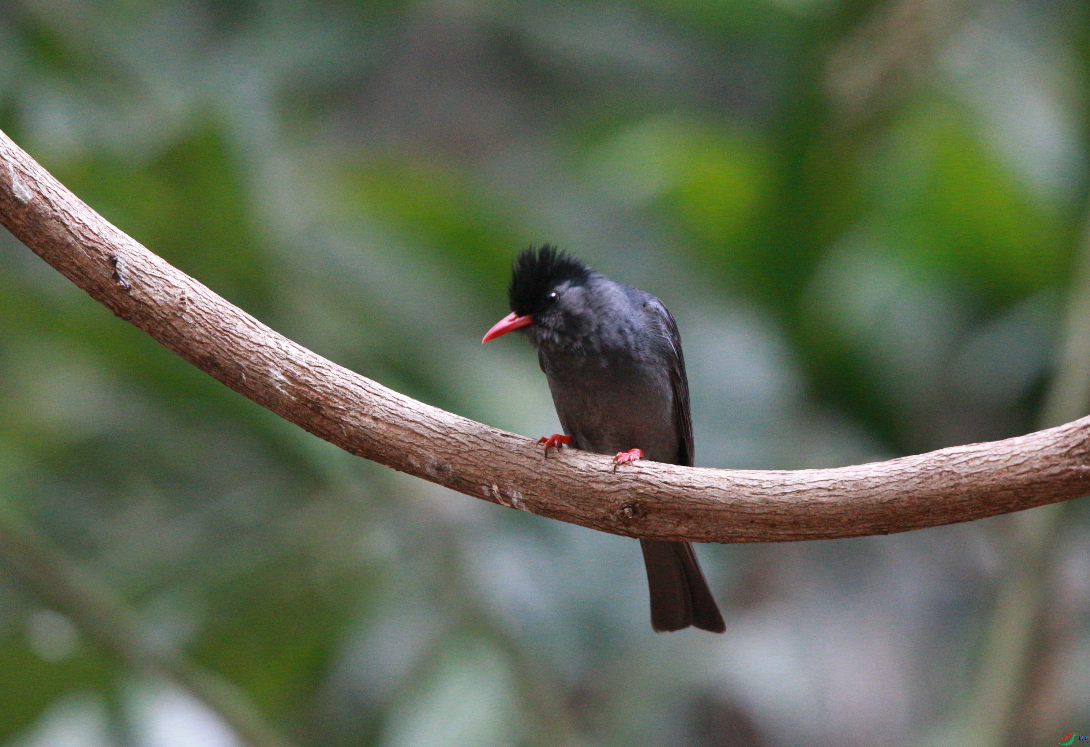 H46R1157 (2)_����.jpg