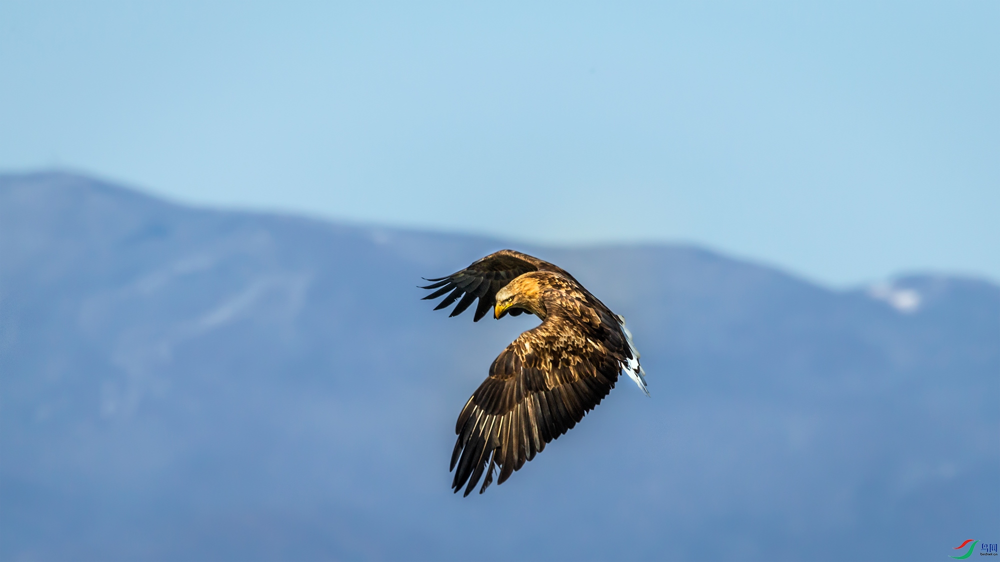 A15J5377-20220213-1.jpg