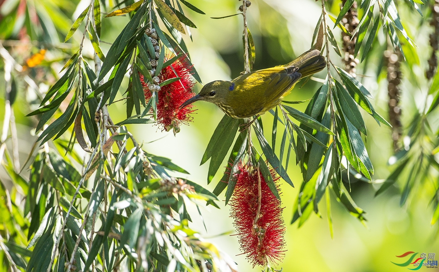 ֪������  ��ʦ����������ʡ.jpg