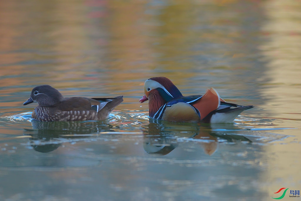 DSC_6-797.jpg