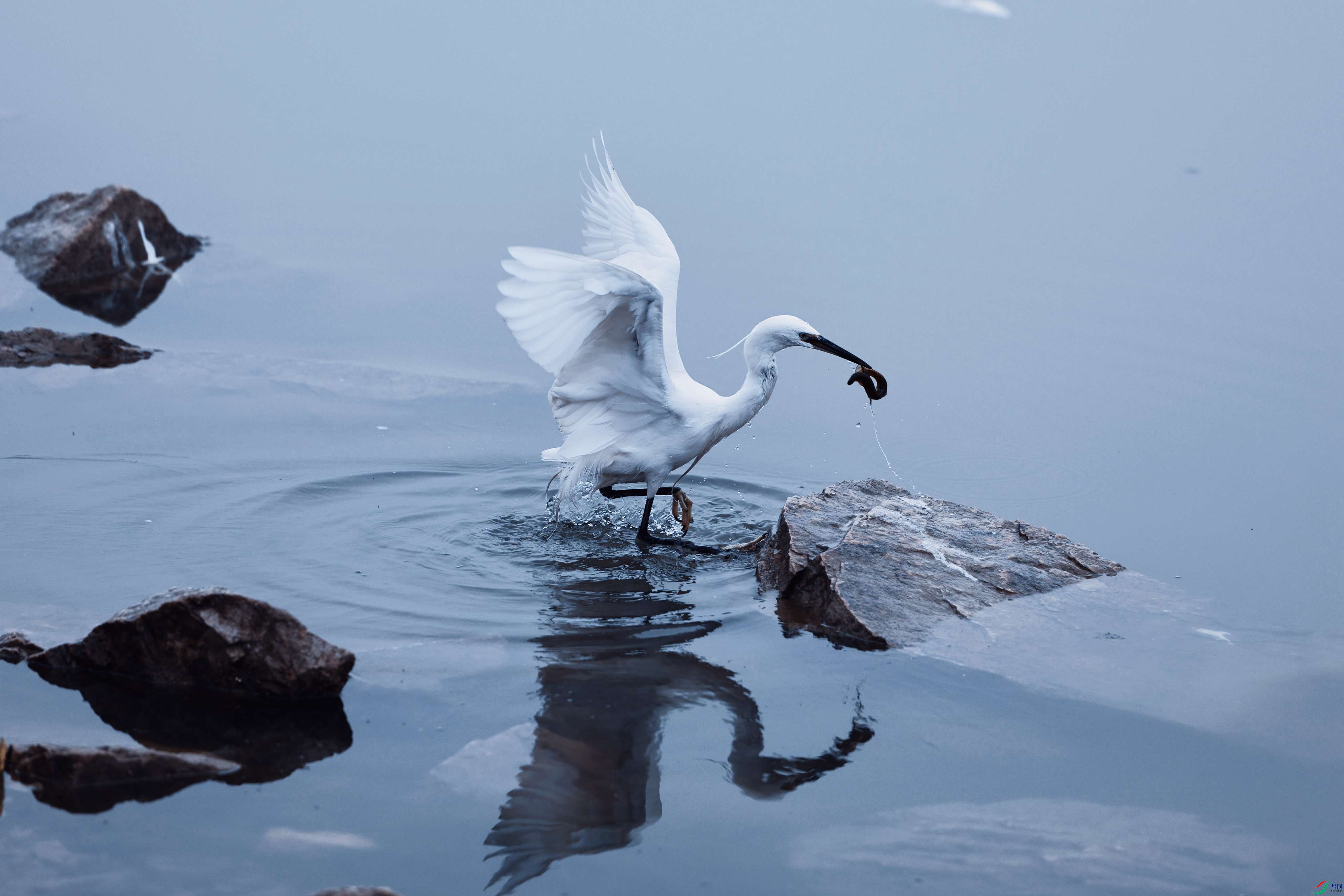 ������ʳ3