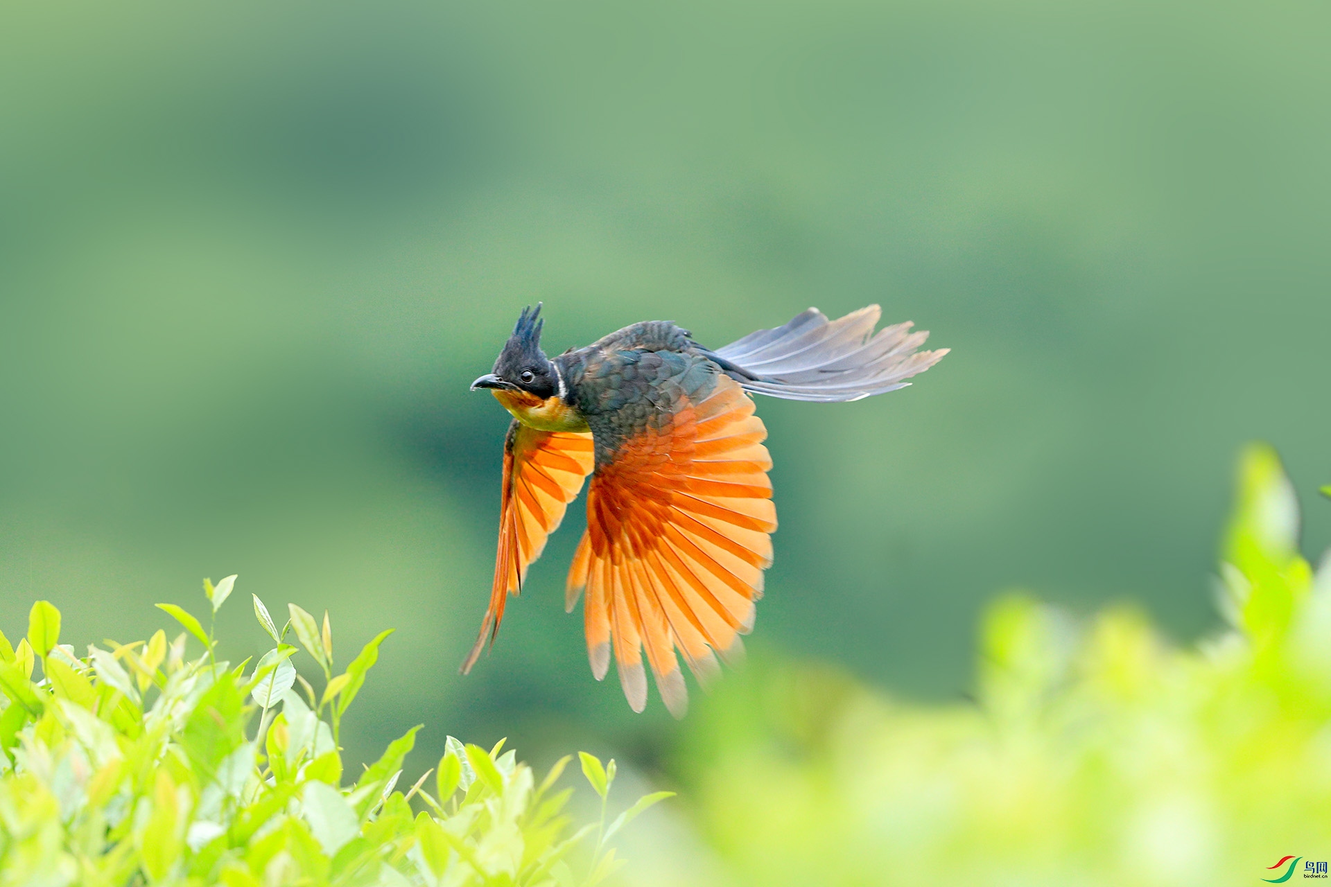 ��Խ�ݺ�.jpg