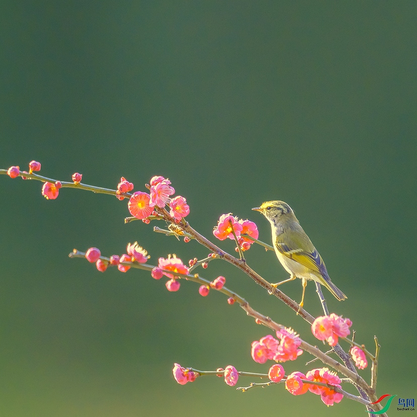 DSC04885 ����.jpg