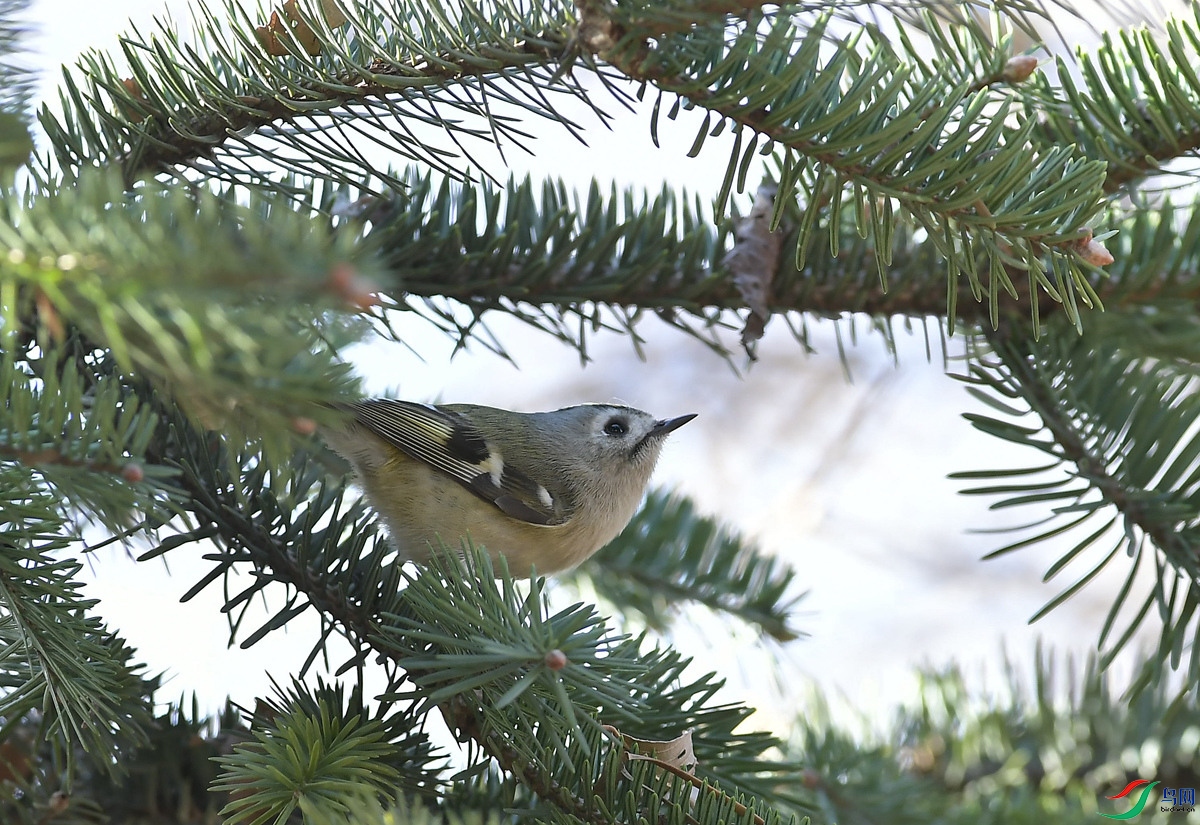 DSC_6401_����.jpg