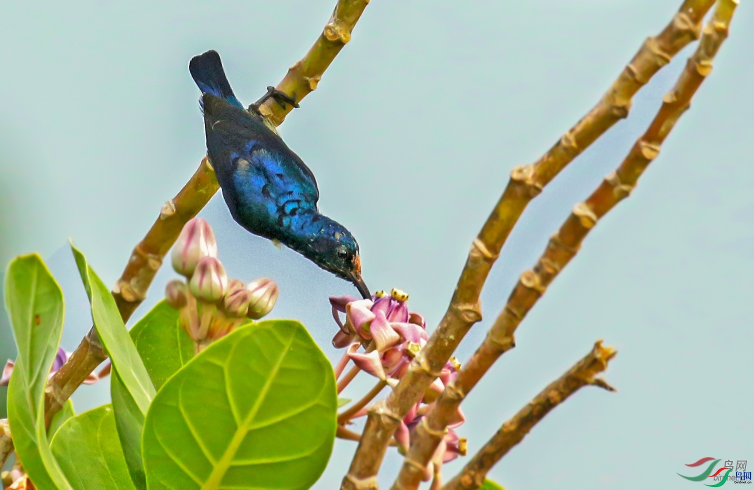 ����09  ��ʦ����������ʡ�º���徰����������ӯ����.jpg