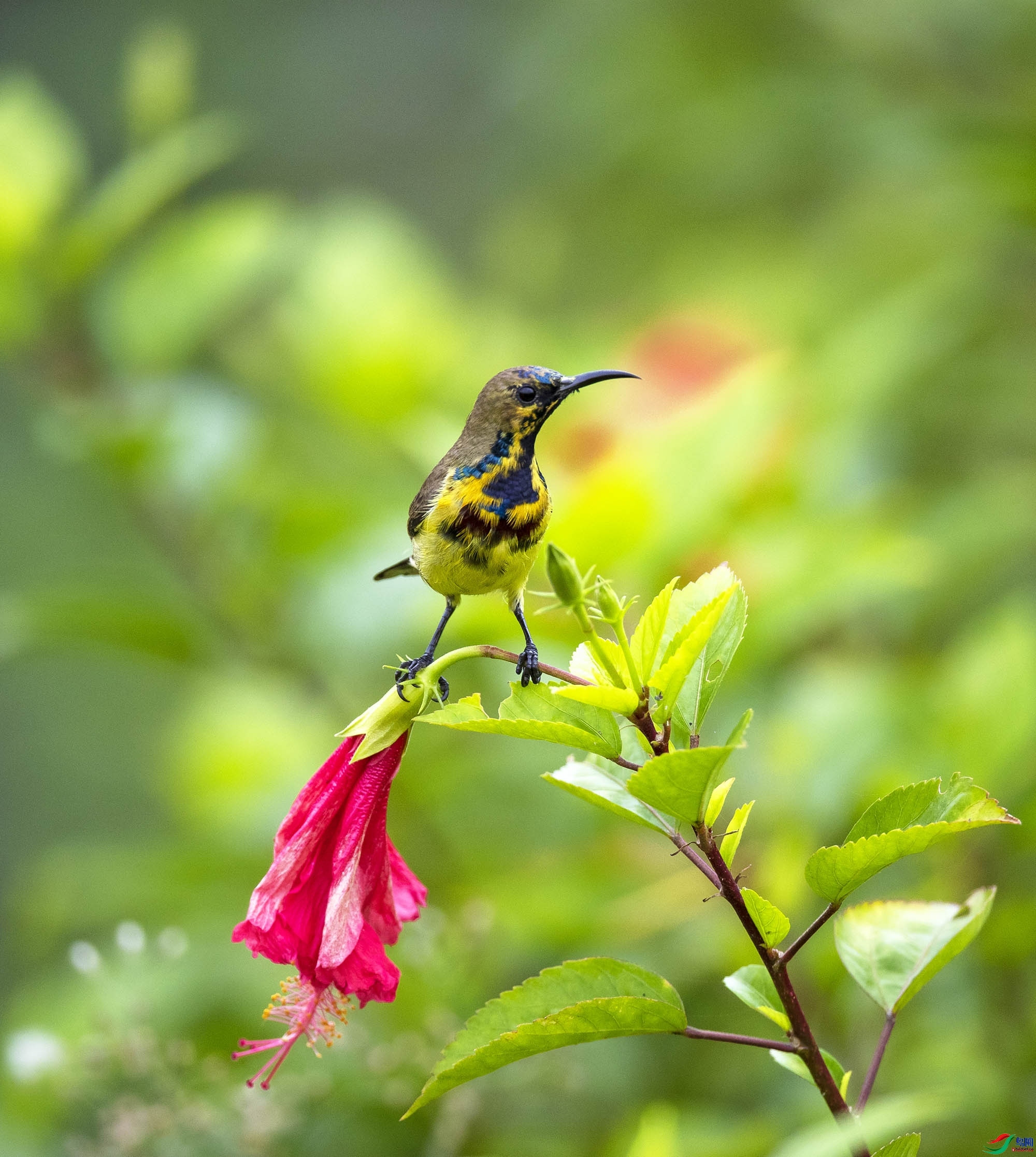 zhj926888  ��ʦ�����ں���ʡ������1.jpg