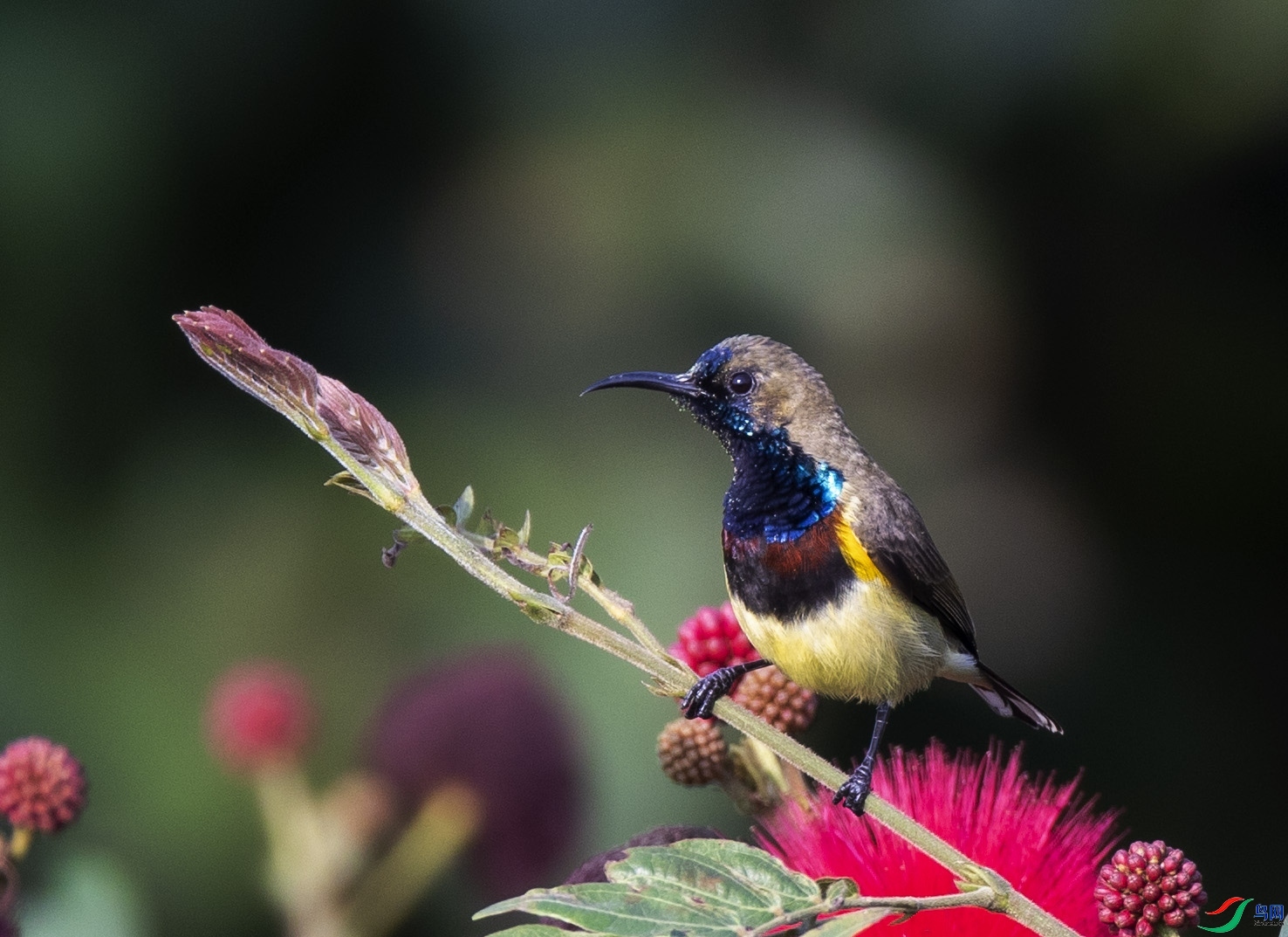 zhj926888  ��ʦ�����ں���ʡ������.jpg