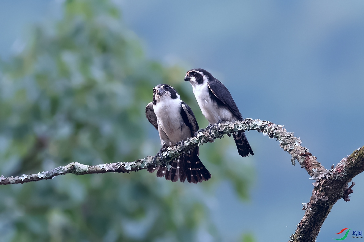 DSC_8803_DxOa.jpg