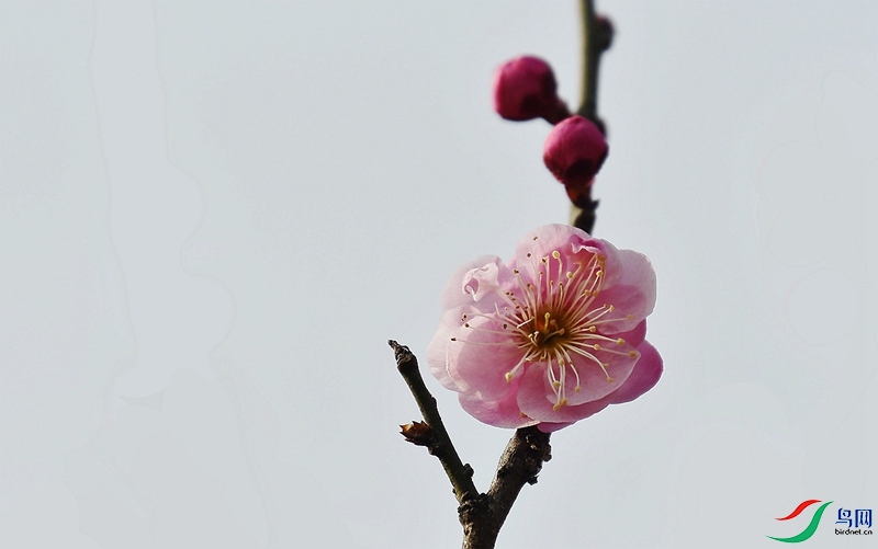 DSC_8587.JPG