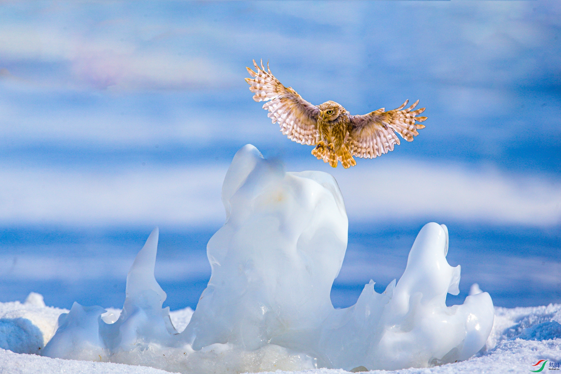 777 - ����.jpg