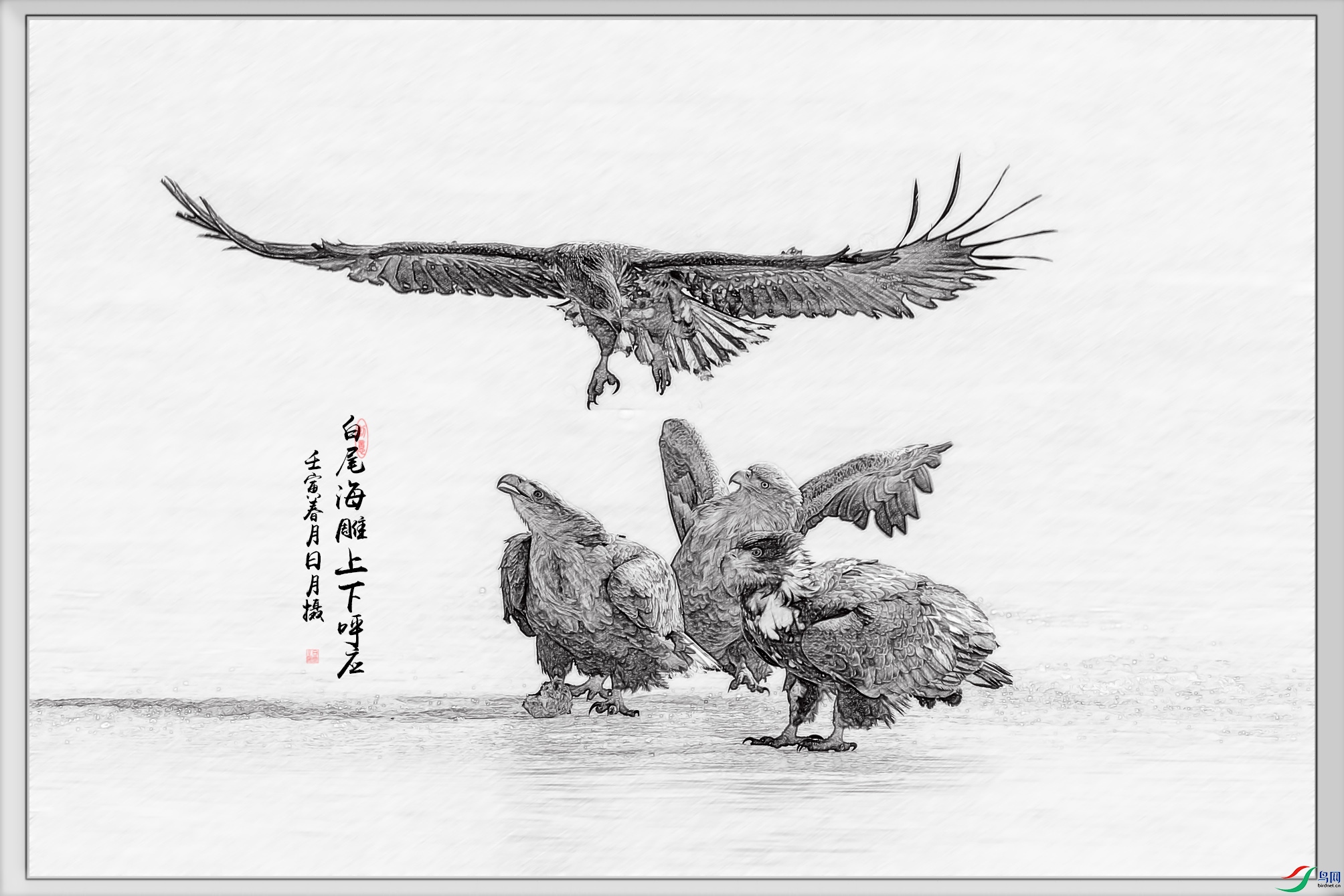 _56T1438 - ����.jpg