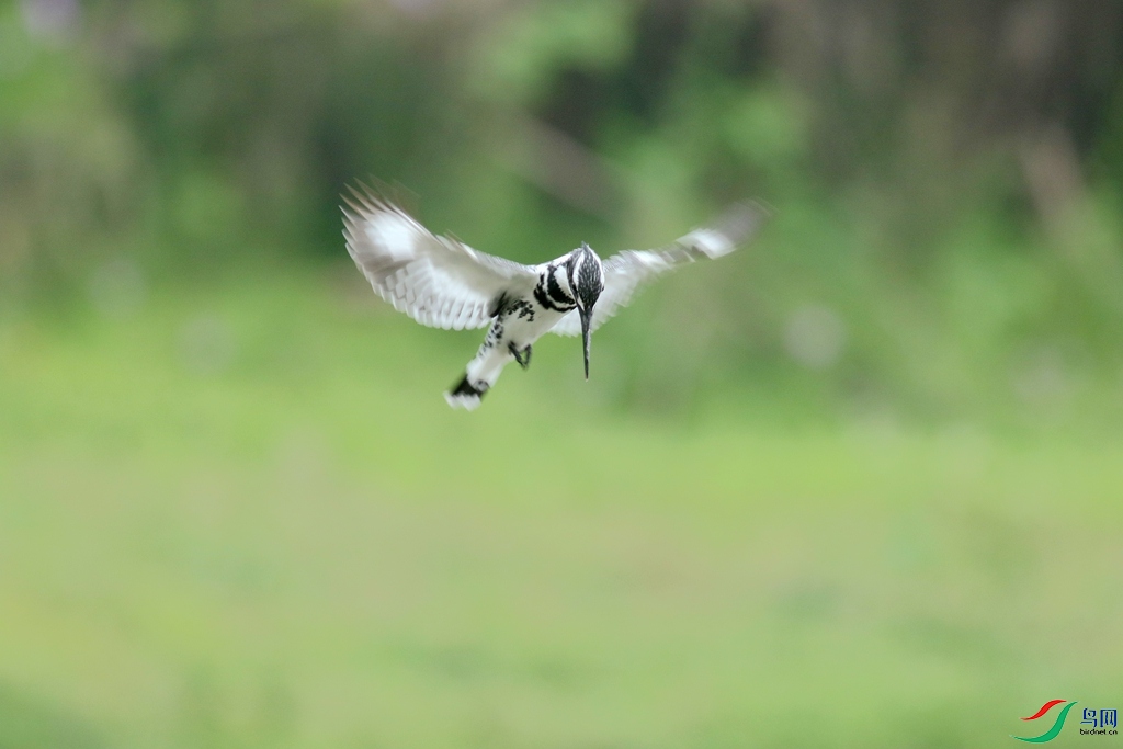 367A3737 (2)_����.jpg