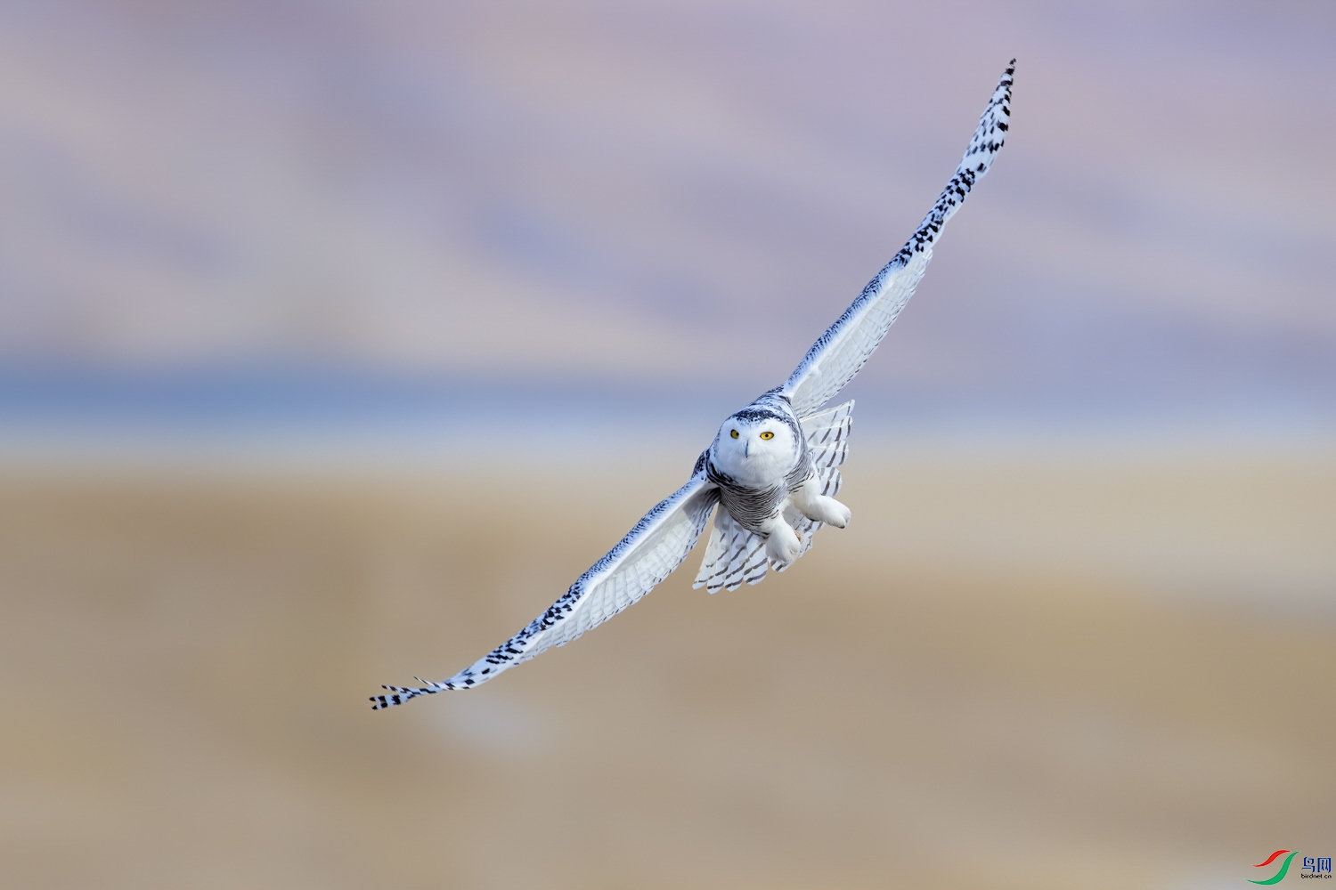 _K6I1625.JPG