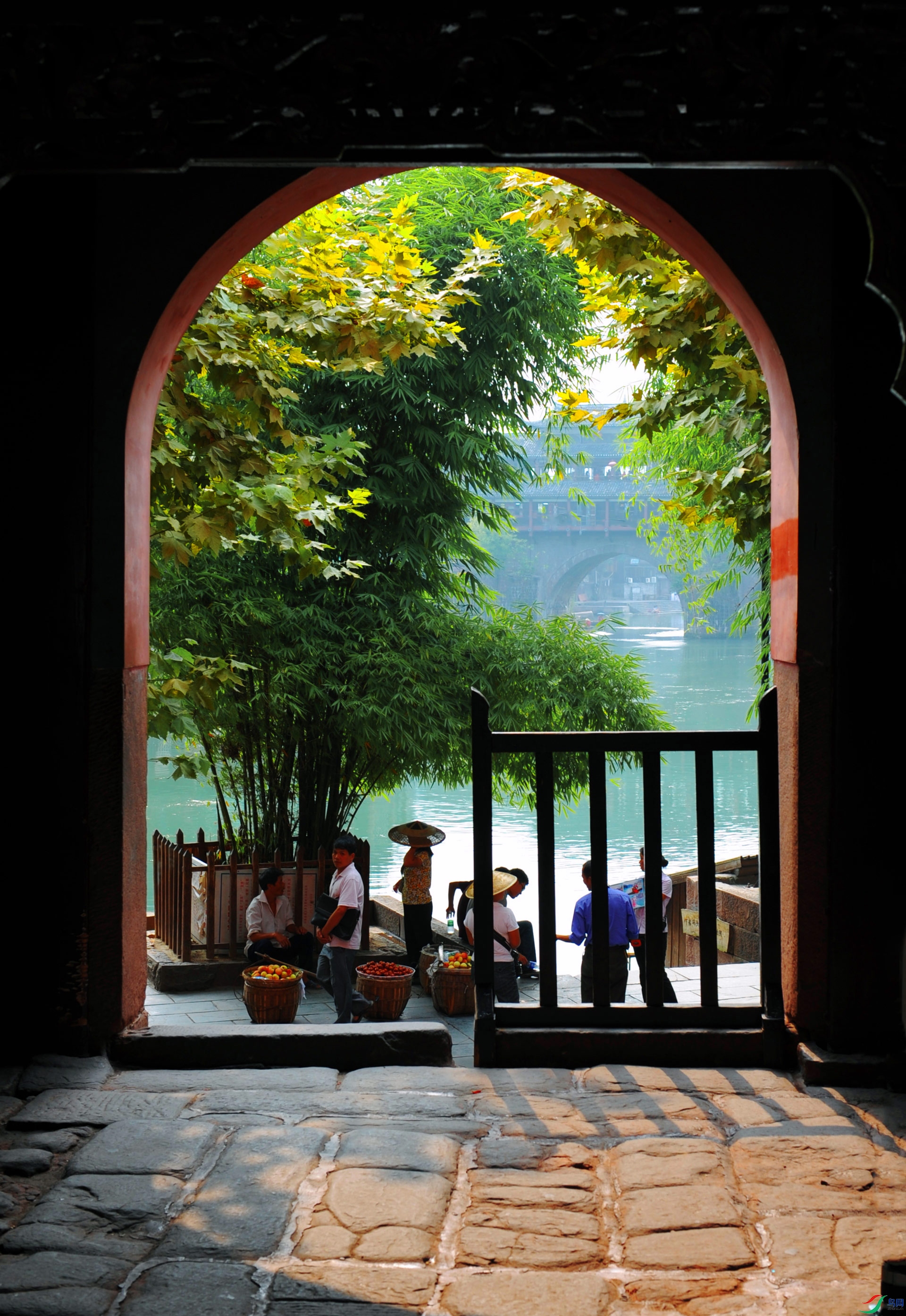 DSC_6206==1w.jpg