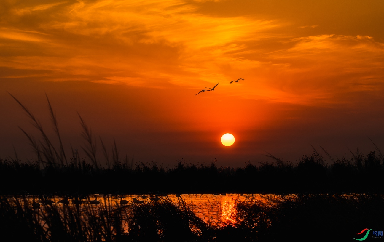 DSC_6199.jpg