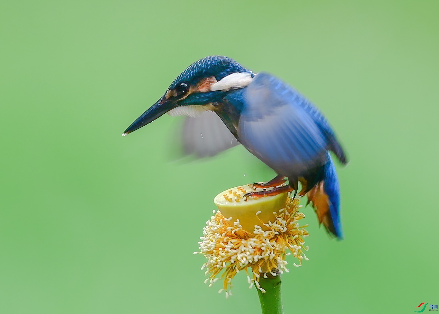 6-7.jpg