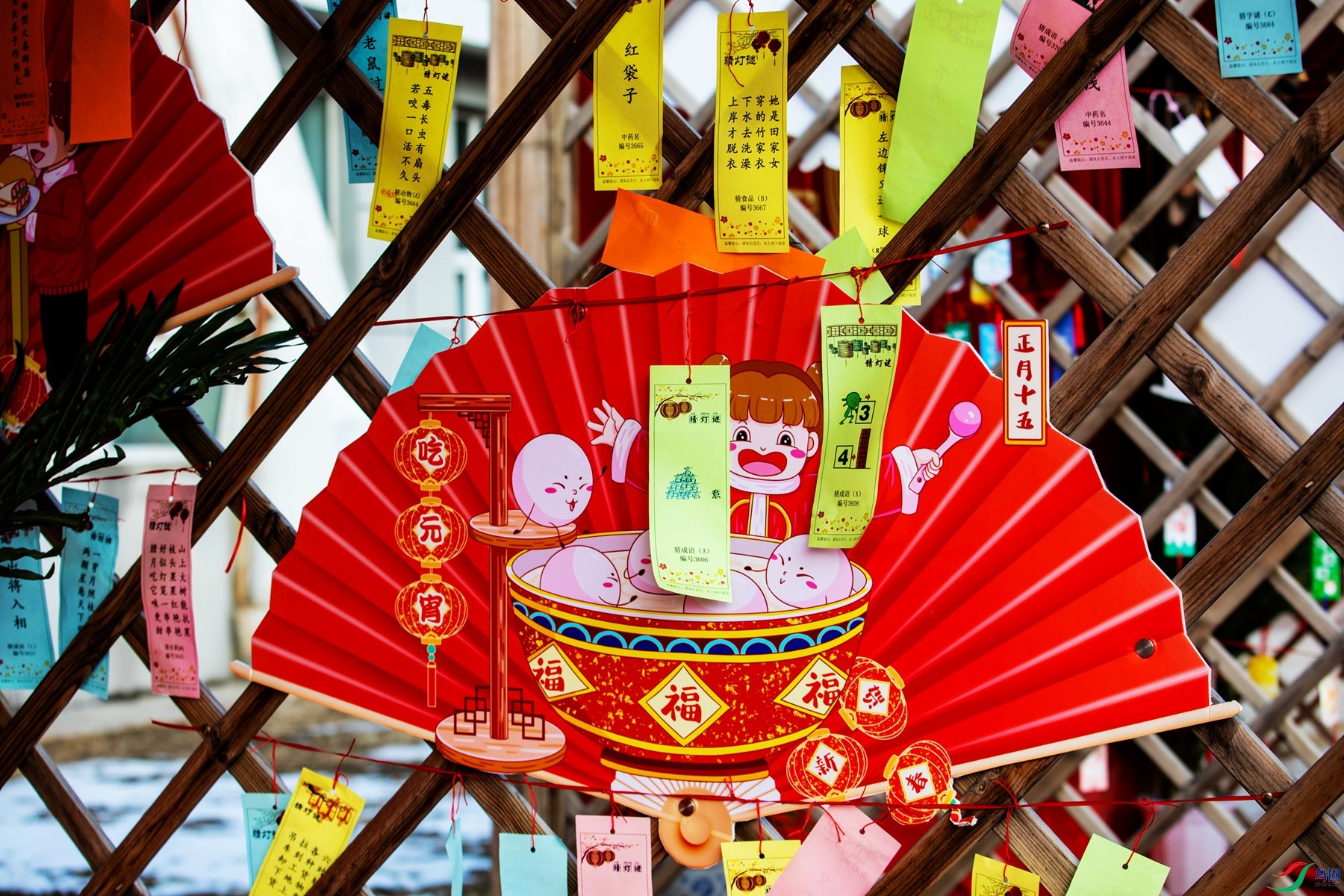 ��Ԫ�� (1).jpg