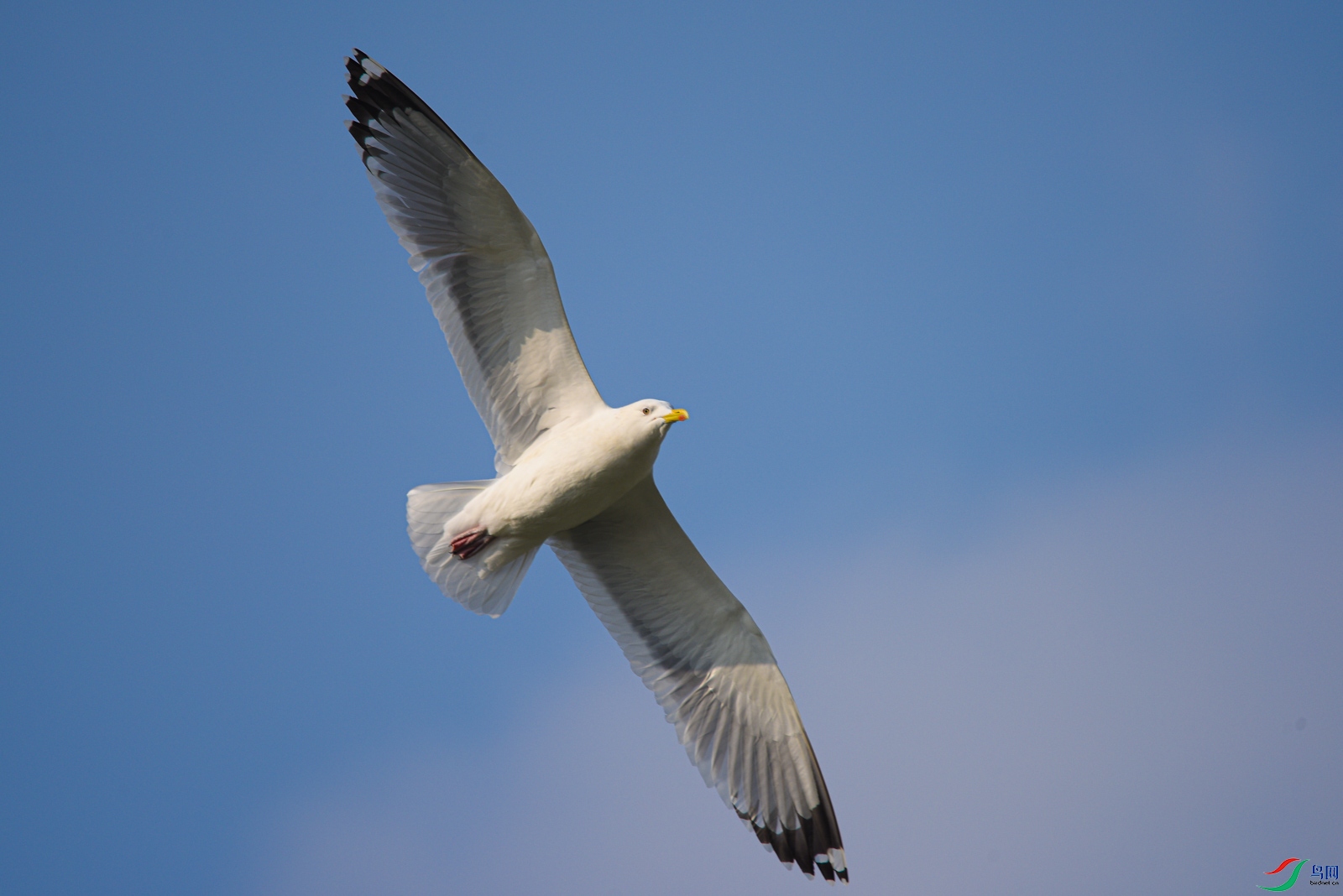 DSC_5900.jpg