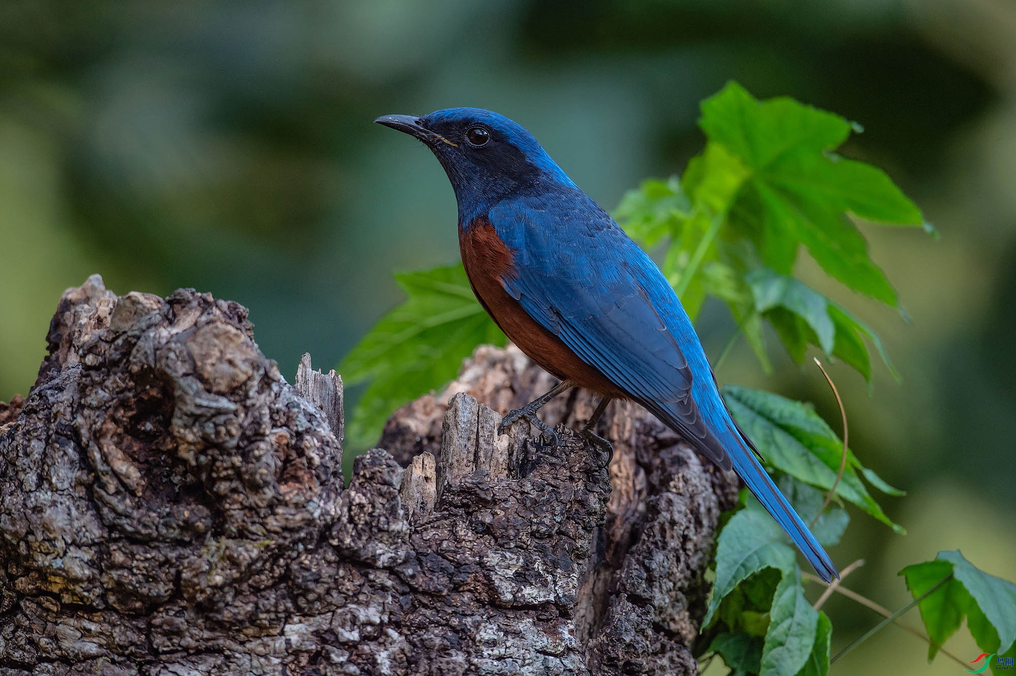 _DSC1860a ����.jpg