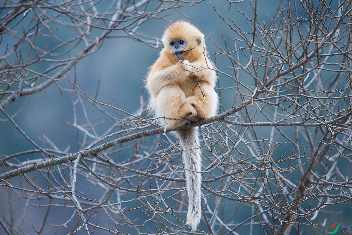 XCG_4874 - ����.jpg