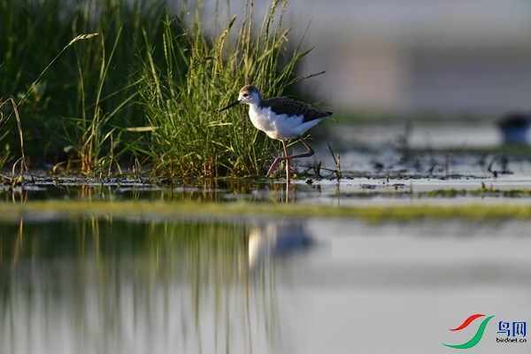 _DSC1034.jpg