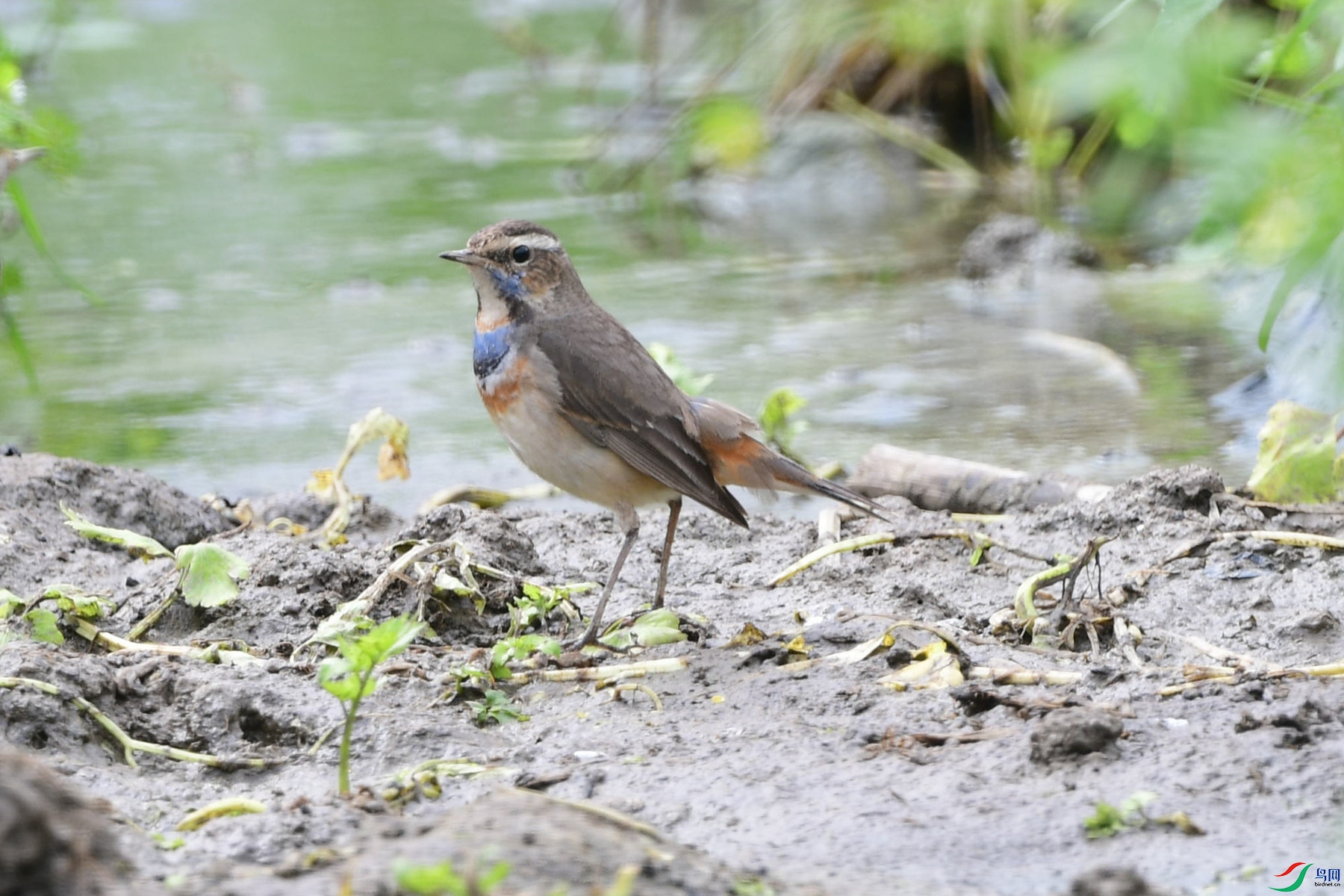 DSC_7348_���ຣ.jpg