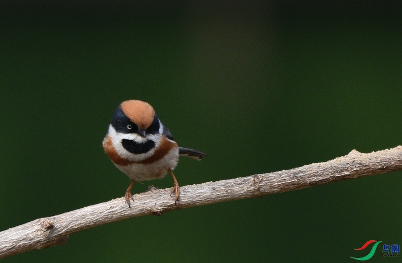 DSC_3058.JPG