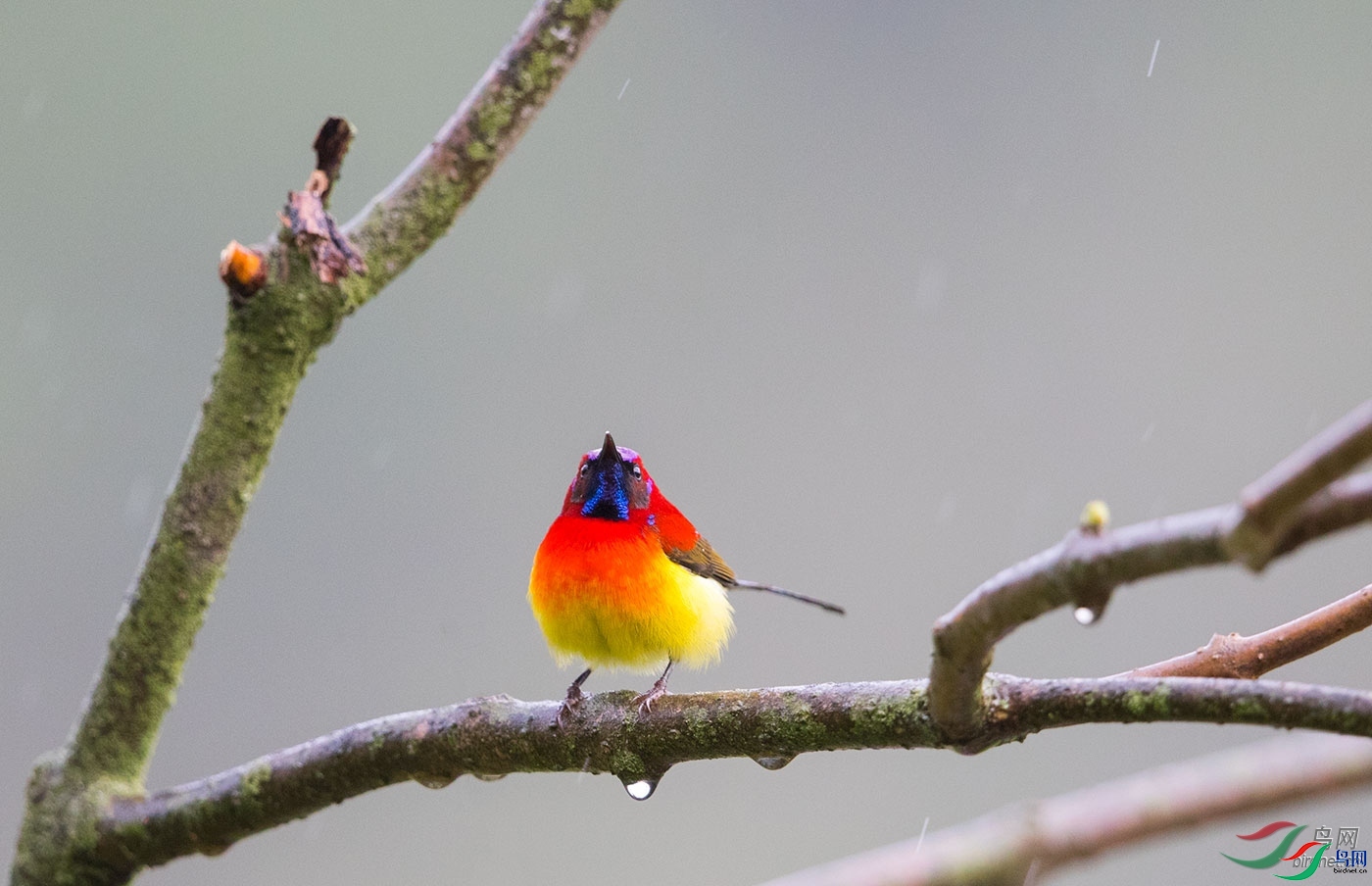 κΡ����  ��ʦ����������ʡ�����з�ƺ��.jpg