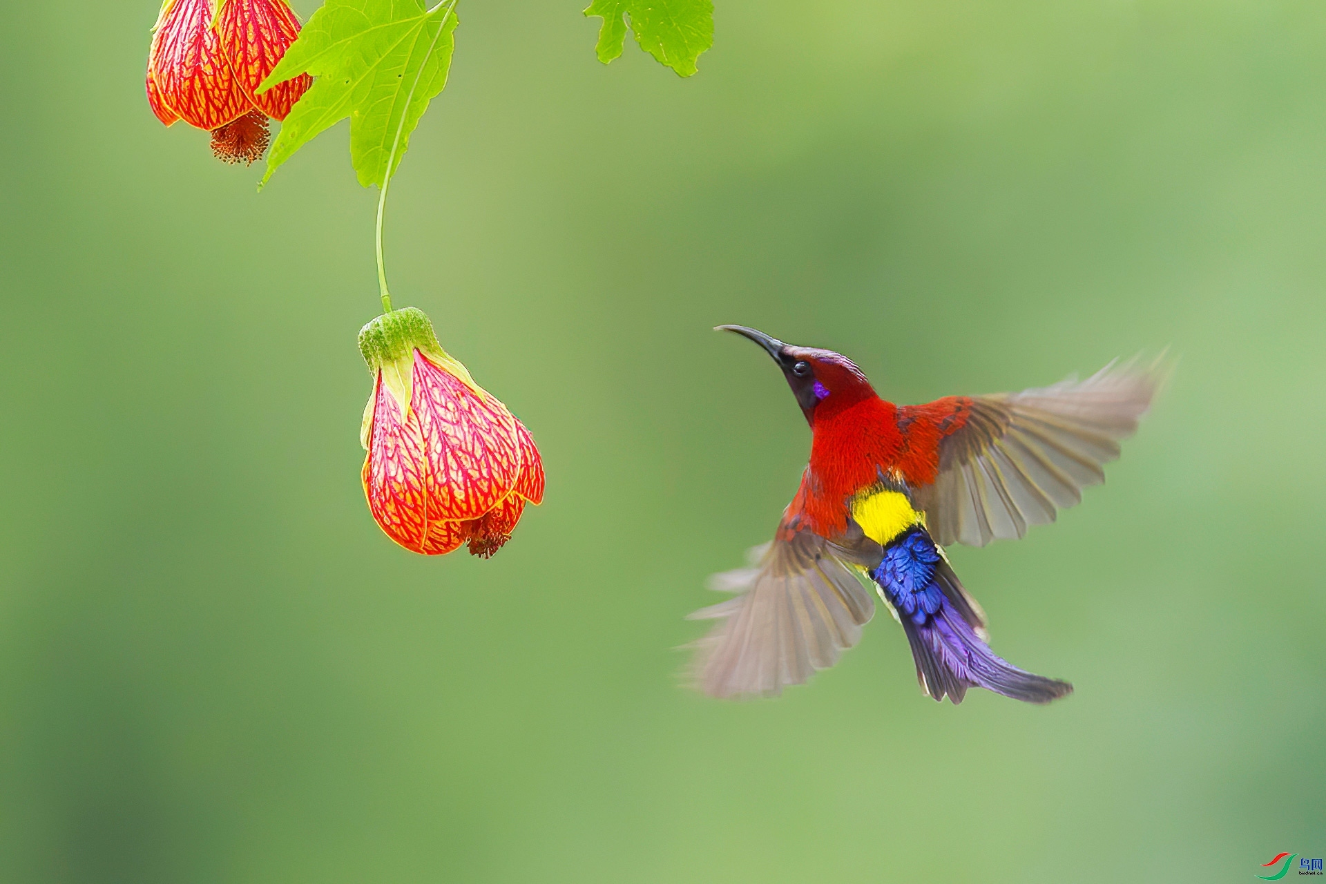 С����  ��ʦ�����ں���ʡ��ʩ���������������� ��ʩ��.jpg