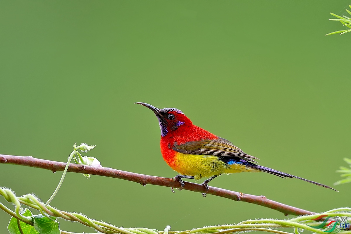 ���� ��ʦ�����ڹ���ʡ �����л�Ϫ��.jpg