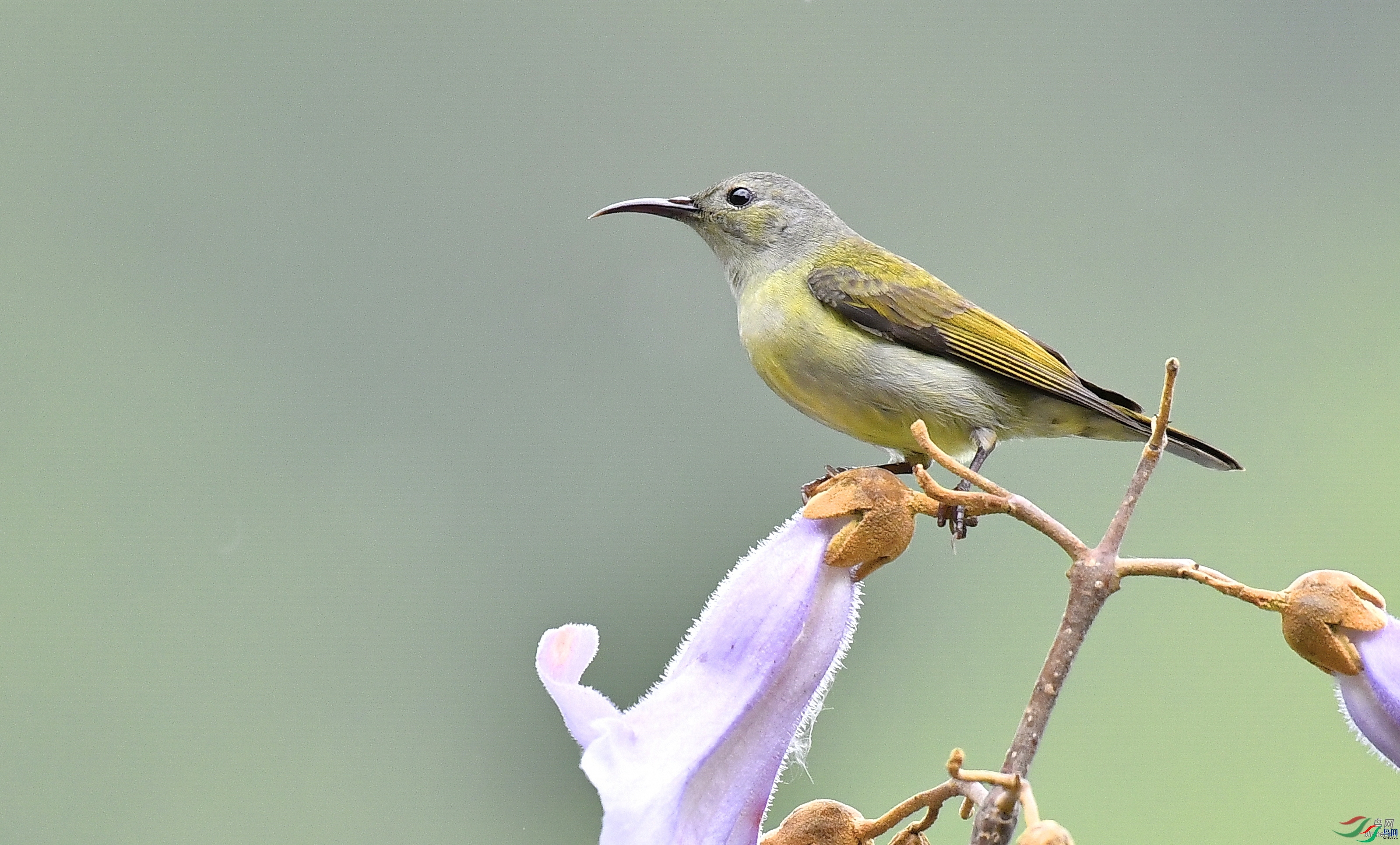 ����ɽ��  ��ʦ�����ں���ʡ��ũ������.jpg