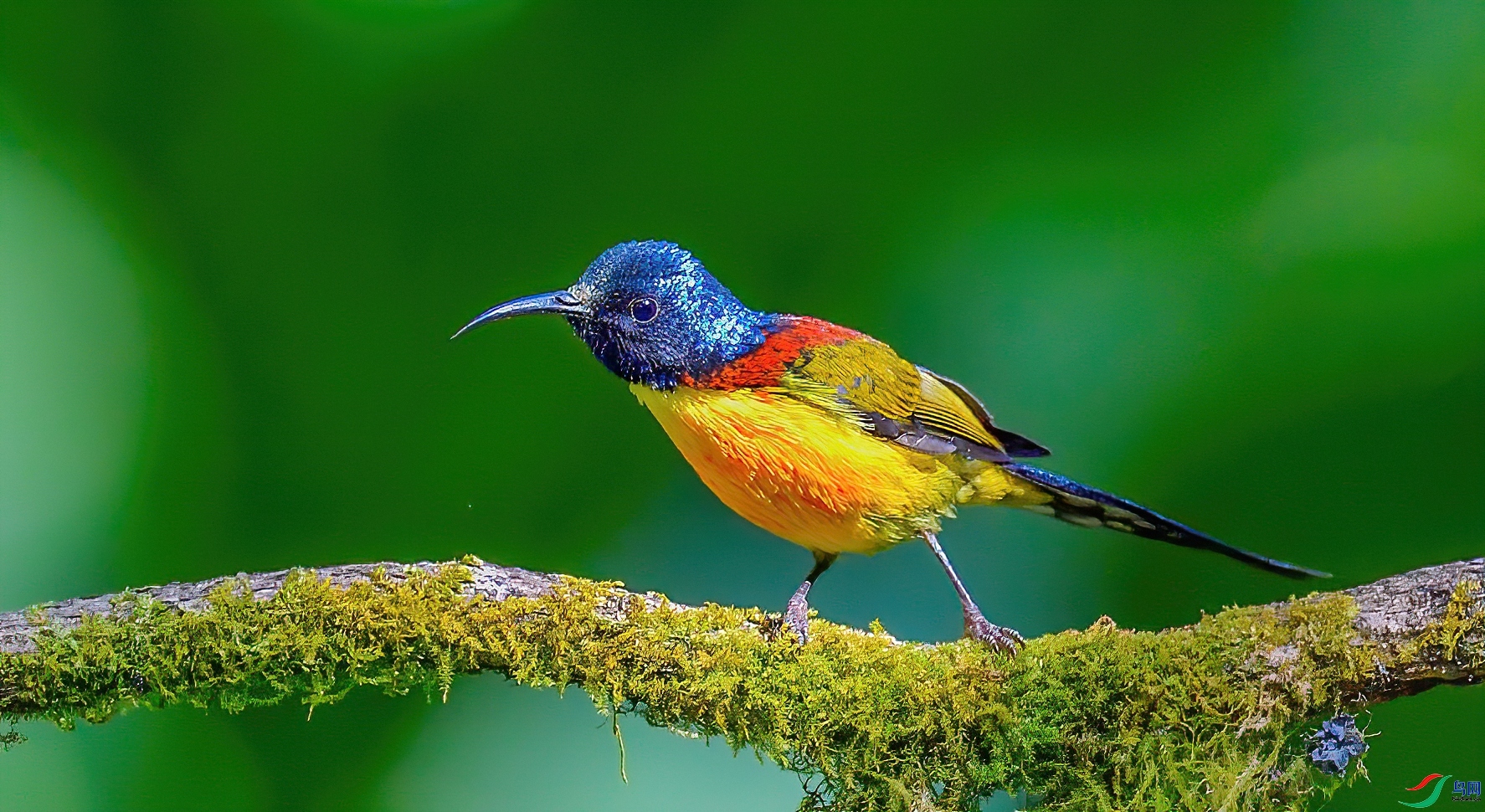 ������  ��ʦ����������ʡ��ɽ���ڳ���.jpg