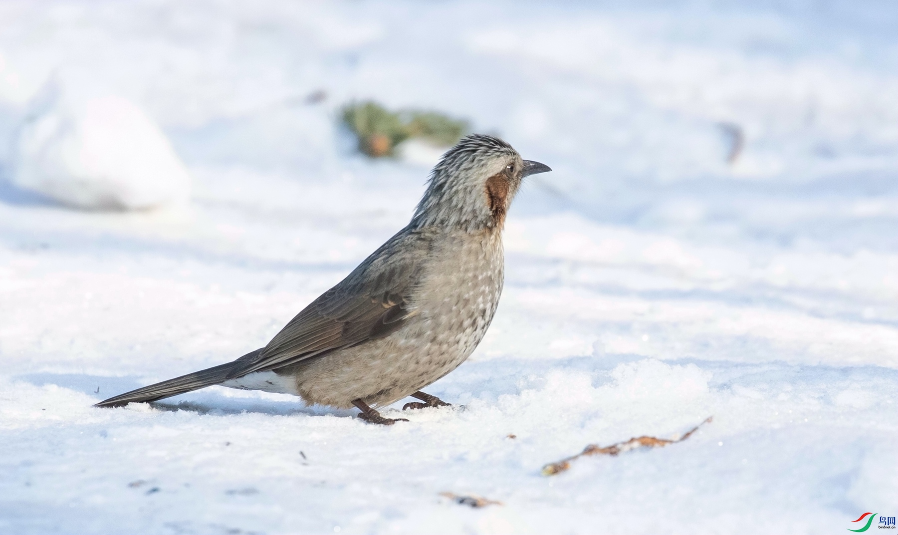 �´������� (1).jpg