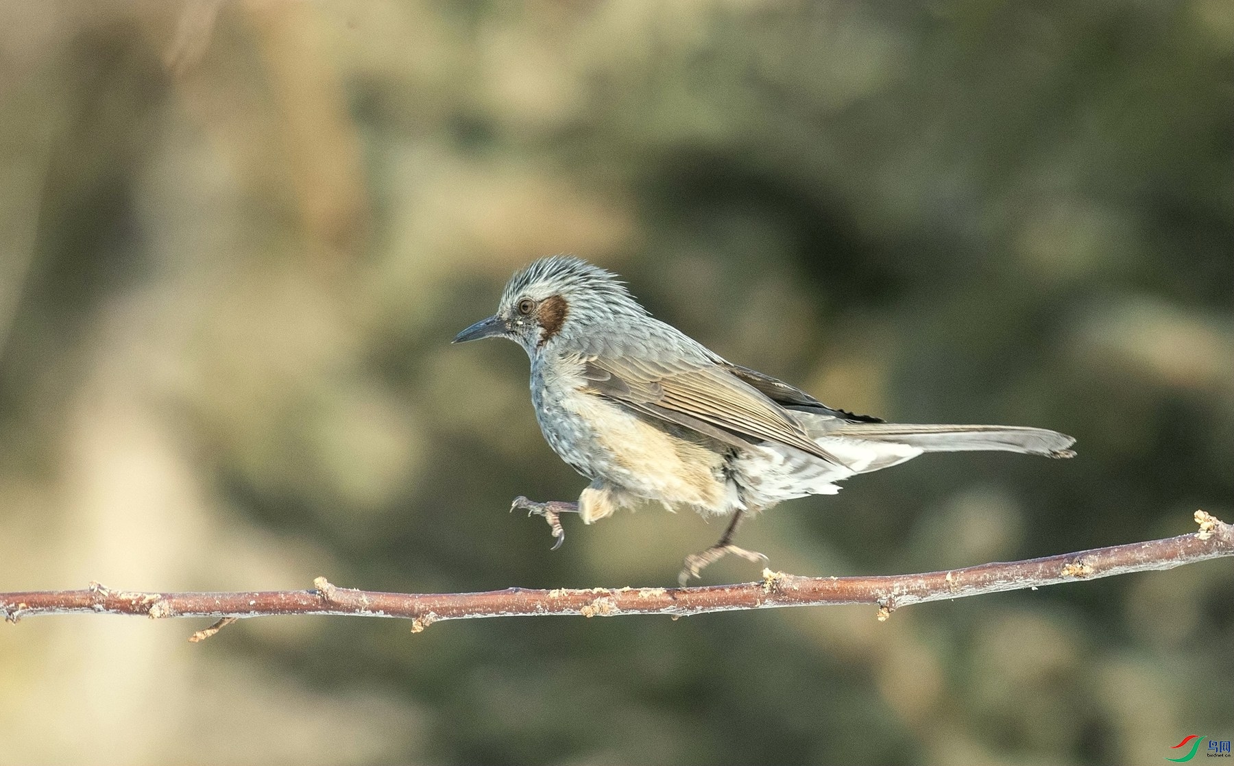 �´������� (2).jpg