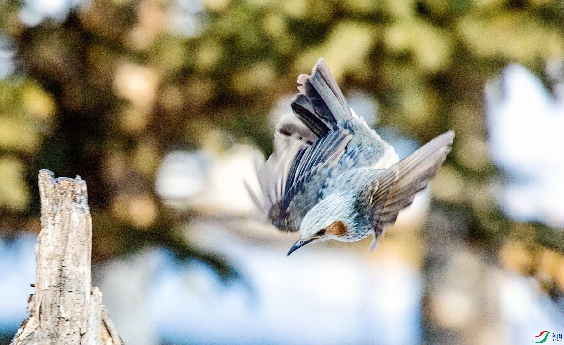 �´������� (4).jpg