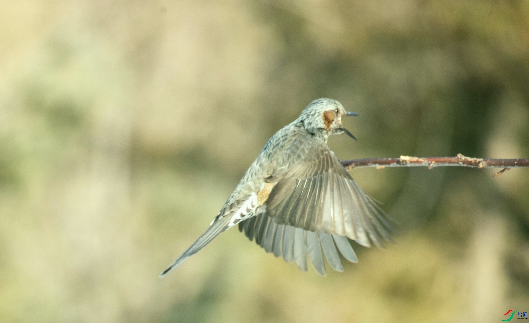 �´������� (5).jpg