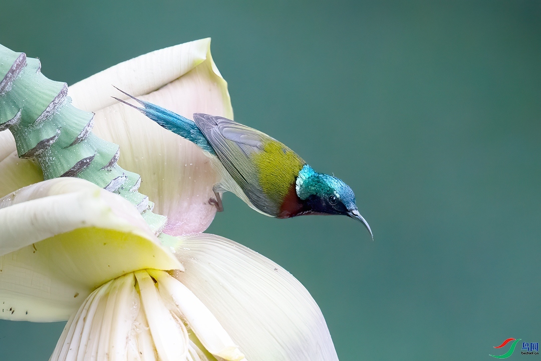 ��������  ��ʦ�����ں���ʡ��ʩ���������������ݶ�ʩ��.jpg