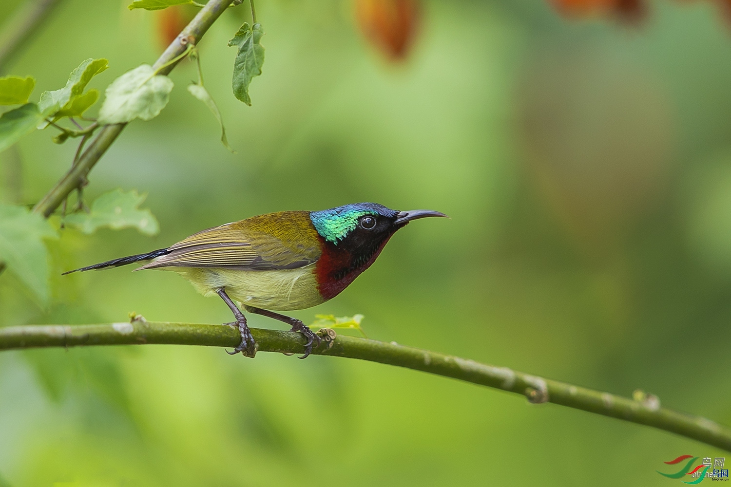 ����  ��ʦ�����ں���ʡ��ʩ���������������ݶ�ʩ��.jpg