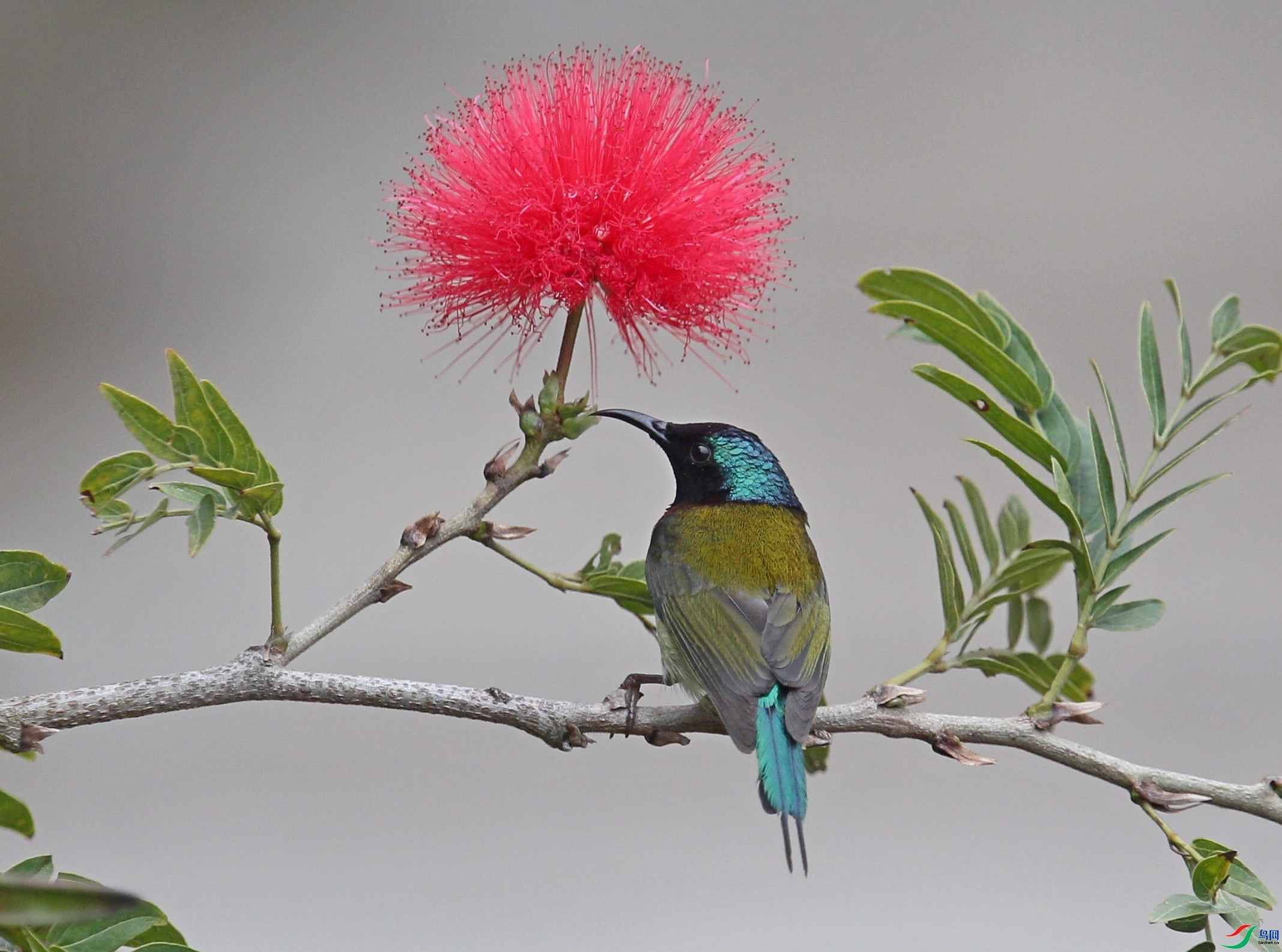 ��������  ��ʦ�����ڸ���ʡ������.jpg