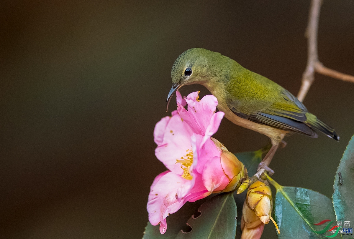 �e�  ��ʦ�����ڽ���ʡ�ϲ���.jpg