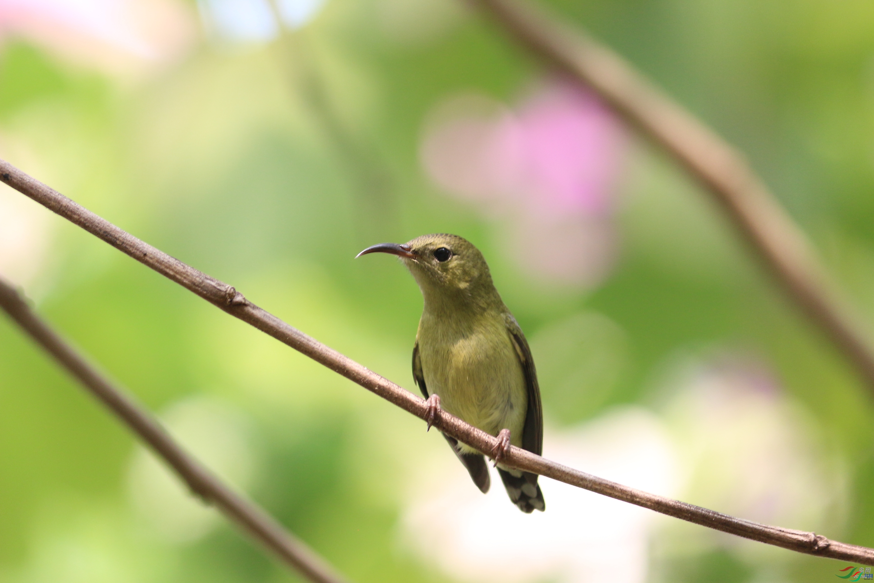 xujinhai  ��ʦ�����ڹ㶫ʡ������.jpg