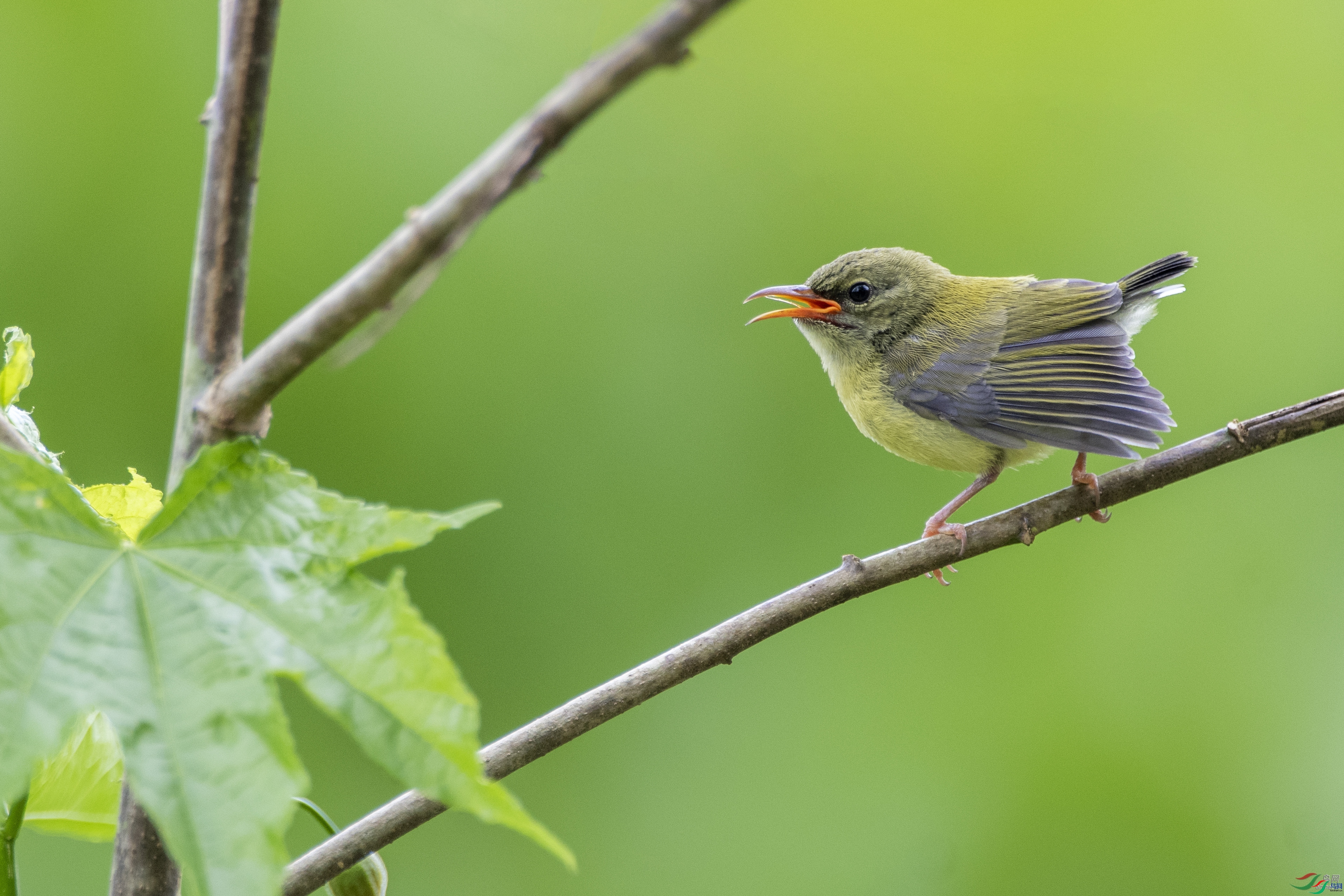 ��������  ��ʦ�����ڹ���ʡ������.jpg