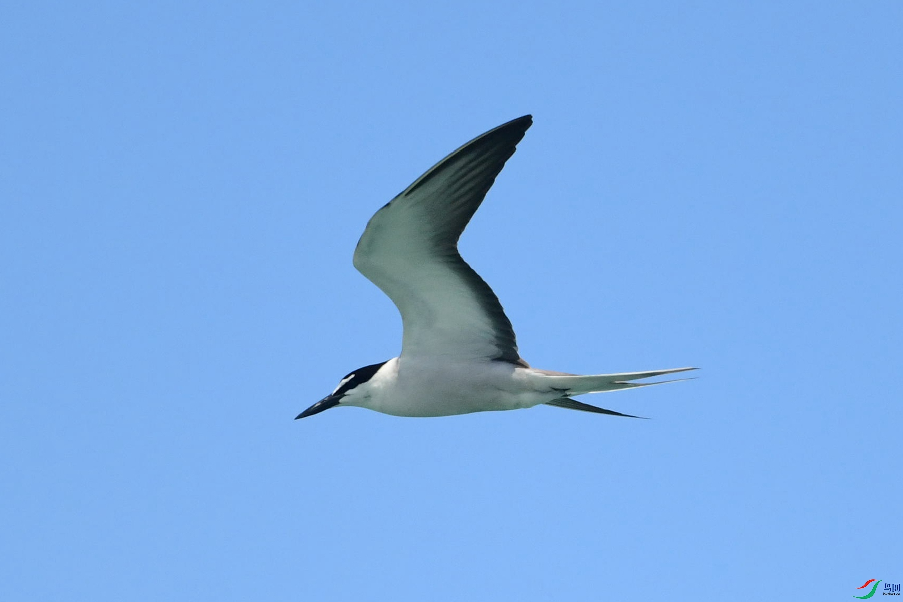 DSC_2752_��Ұ���῵.jpg