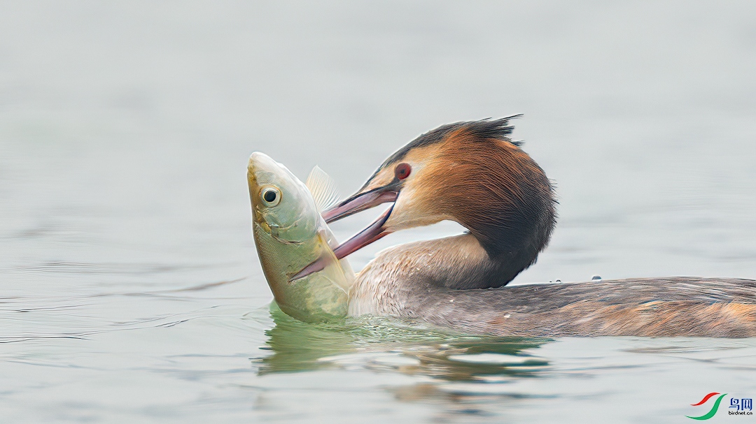 20220215-���ź�-4051-1-sharpened.jpg