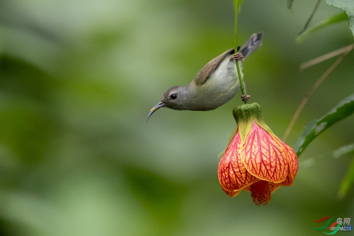 ����  ��ʦ����������ʡ��ɽ��.jpg