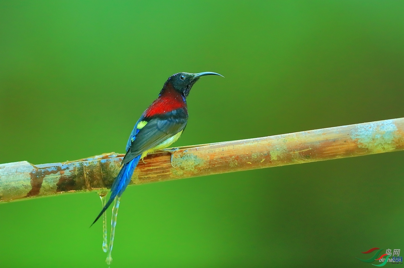 �����۽�  ��ʦ����������ʡ�º���徰����������ӯ����.jpg